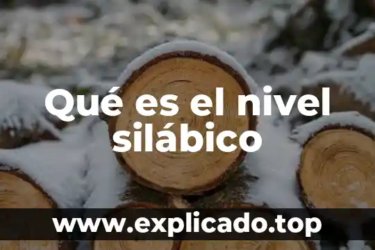 Que es nivel meso 8 Qué es el nivel silábico
