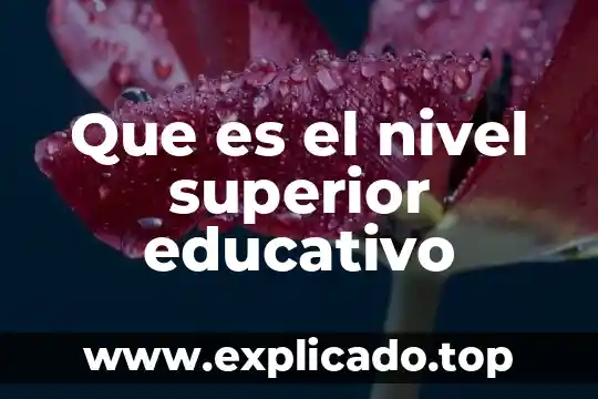 Qué es el nivel silábico 7 Que es el nivel superior educativo
