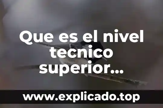Qué es metodología del trabajo universitario 8 Que es el nivel tecnico superior universitario
