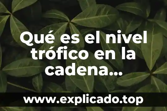 Que es una cadena fiscal 8 Qué es el nivel trófico en la cadena alimenticia