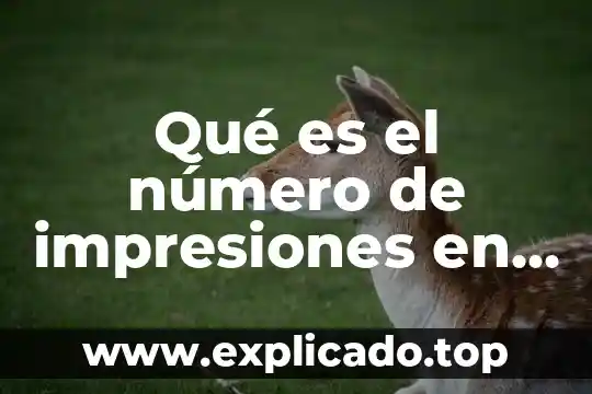 Que es numero cuadrado perfecto 6 Qué es el número de impresiones en Google AdWords