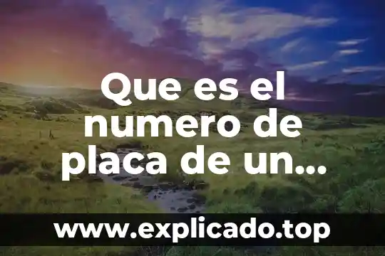 Que es el numero de placa de un automovil