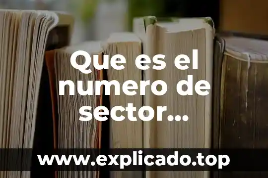 Que es numero cuadrado perfecto 5 Que es el numero de sector electoral