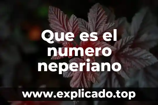 Definicion de que es un numero euler 8 Que es el numero neperiano