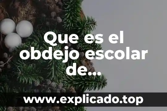 Conflicto social Karl Marx que es 3 Que es el obdejo escolar de participacion social