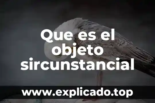 Que es la trayectoria de un objeto 6 Que es el objeto sircunstancial
