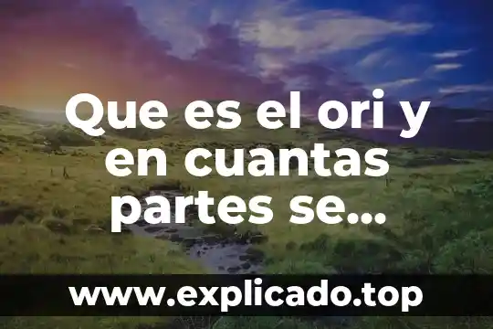 A cuántas semanas se puede saber que es mi bebe 8 Que es el ori y en cuantas partes se divide
