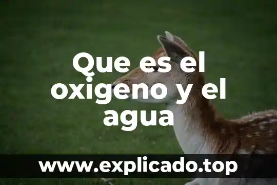 Que es el oxigeno y el agua