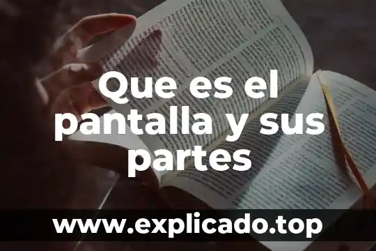 Qué es un diagnóstico situacional y sus partes 3 Que es el pantalla y sus partes