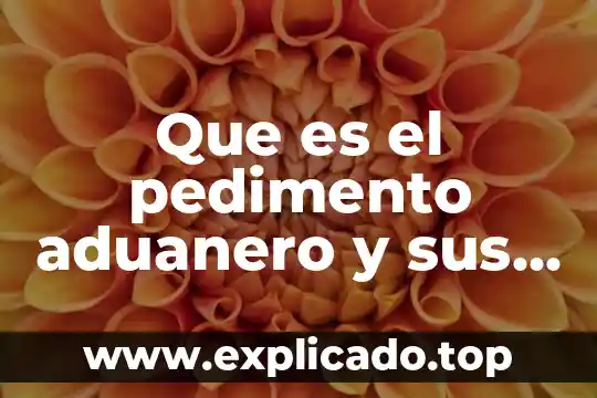 Que es el pedimento aduanero y sus tipos