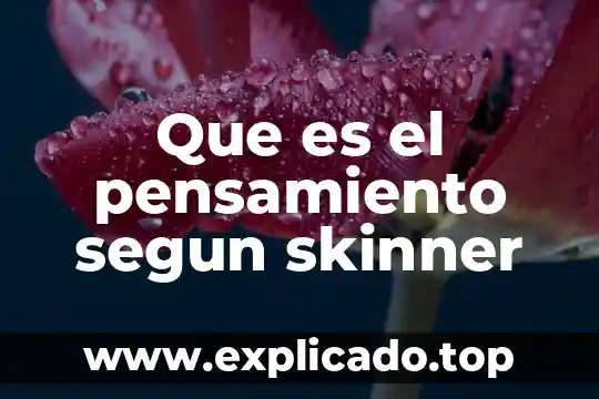 Que es pensamiento dibujos 5 Que es el pensamiento segun skinner