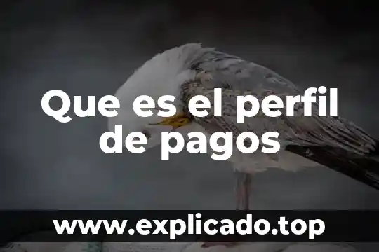 Que es balance pagos 6 Que es el perfil de pagos