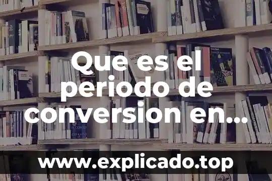 Qué es visión económica y visión financiera 6 Que es el periodo de conversion en matematica financiera