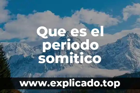 Sueldo periodo que es 6 Que es el periodo somitico