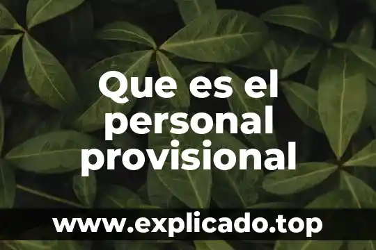 Que es el personal provisional