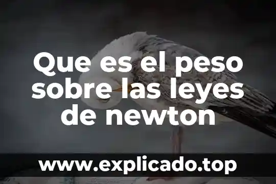 Que es la creacion de las leyes 5 Que es el peso sobre las leyes de newton