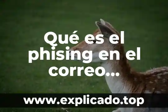 Qué es un correo postal y electrónico 6 Qué es el phising en el correo electrónico