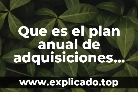 Qué es un programa anual de adquisiciones 5 Que es el plan anual de adquisiciones colombia
