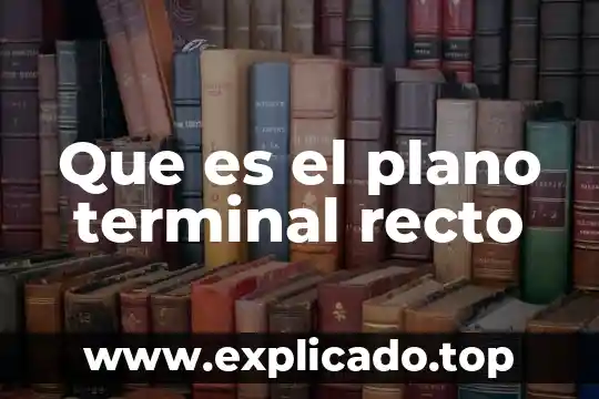 A que es igual el doble de un angulo recto 7 Que es el plano terminal recto