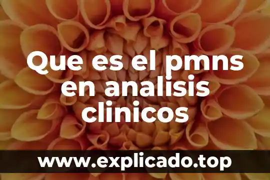 Que es quimica biologica en analisis clinicos 6 Que es el pmns en analisis clinicos