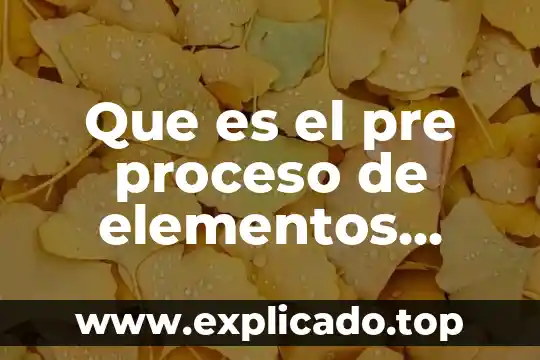 Que es una pre autorización tarjeta de credito 6 Que es el pre proceso de elementos finitos