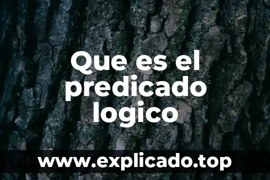 Que es un marco lógico de un proyecto 4 Que es el predicado logico