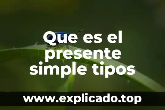 Que es el presente simple tipos