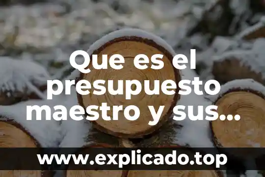 Qué es plan maestro de producción 7 Que es el presupuesto maestro y sus caracteristicas