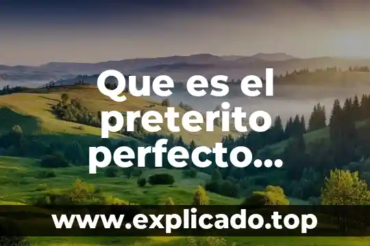 Que es lo perfecto filosofia 5 Que es el preterito perfecto ejemplos