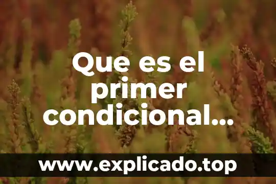 Que es la ley del primer empleo en mexico 7 Que es el primer condicional ejemplos