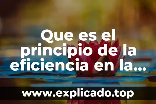 Qué es la teoría económica y cómo se define 5 Que es el principio de la eficiencia en la economica