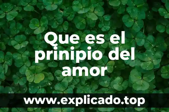Según Platón, qué es el conocimiento 4 Que es el prinipio del amor