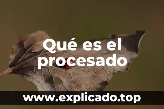 Filosofi que es 8 Qué es el procesado