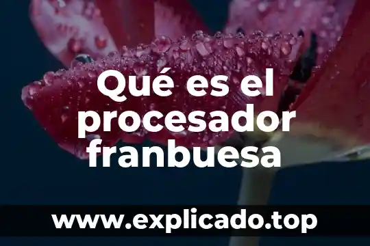 Que es tamaño del procesador 5 Qué es el procesador franbuesa