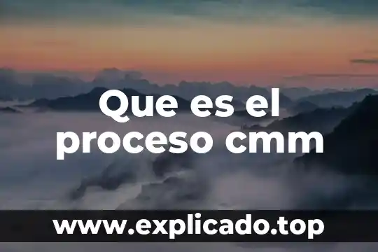 Promotor educativo inaeba que es 3 Que es el proceso cmm