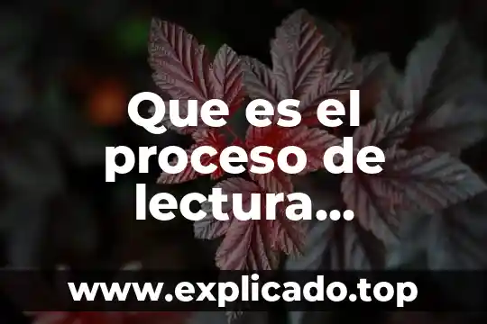 Que es rapida en lectura mecanica 8 Que es el proceso de lectura comprensiva