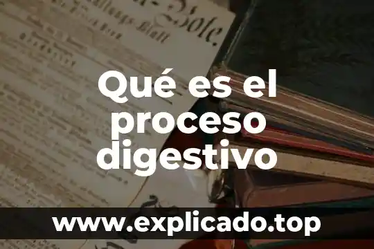 Qué es el proceso digestivo