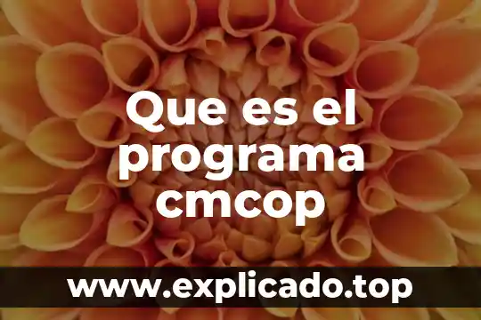 Que es un programa de talleres de alfareria 4 Que es el programa cmcop