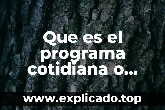 Que es un programa de talleres de alfareria 6 Que es el programa cotidiana o laborales