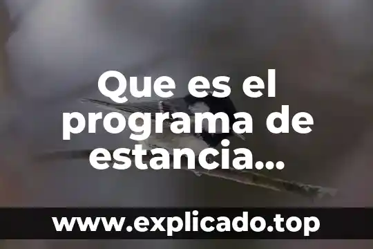 Que es una estancia en programacion 4 Que es el programa de estancia infantil