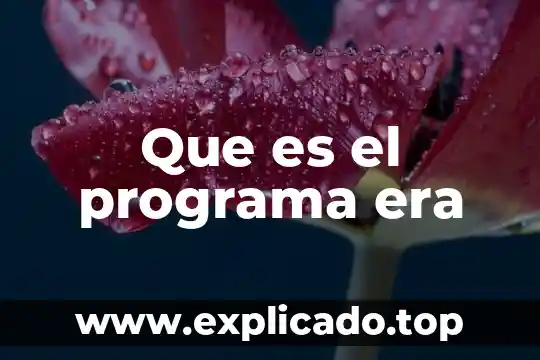Que es cambio social en la era de la globalizacion 4 Que es el programa era