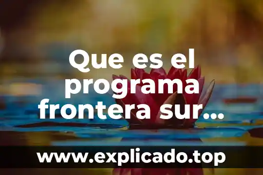 Que es agua de rosas y para que sirve 8 Que es el programa frontera sur parte migratoria