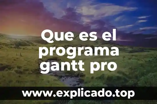 Para que es importante la grafica de gantt 7 Que es el programa gantt pro