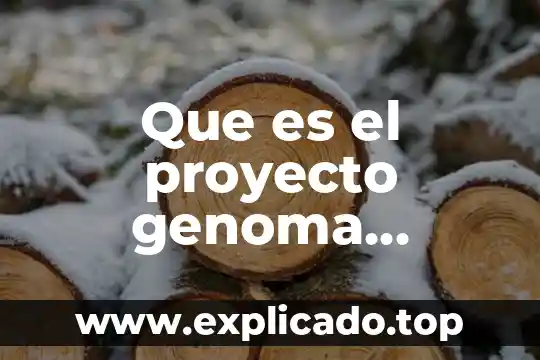 Proyecto de estudio que es 7 Que es el proyecto genoma humano y su importancia