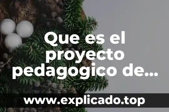 Proyecto de estudio que es 8 Que es el proyecto pedagogico de aula ppa