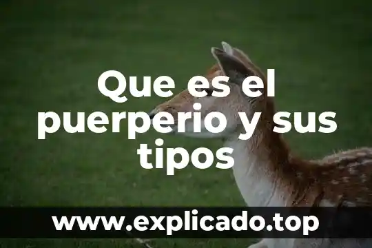 Que es el puerperio y sus tipos