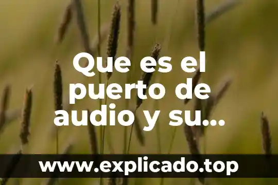 Qué es la salida de audio en pc 8 Que es el puerto de audio y su funcion