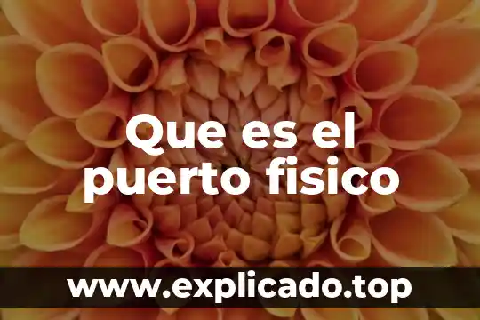 Puerto paralelo que es y para que sirve 4 Que es el puerto fisico