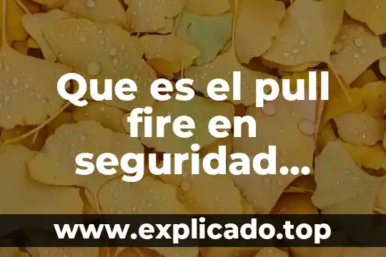 Que es un pacto ensayo 7 Que es el pull fire en seguridad industrial