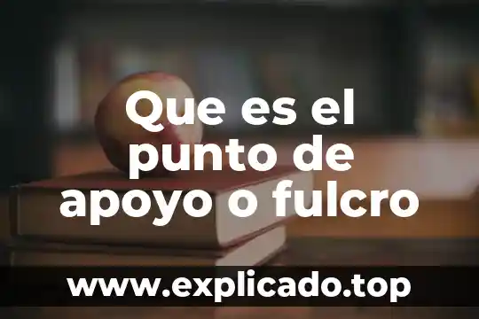 El apoyo social que es 5 Que es el punto de apoyo o fulcro